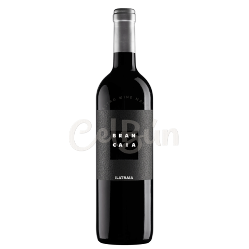 Brancaia Ilatraia 2020 IGT - 750ml